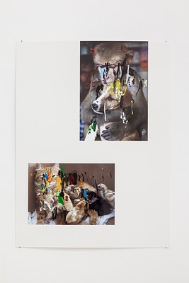 Image 7 of 26