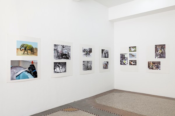 Image 10 of 26