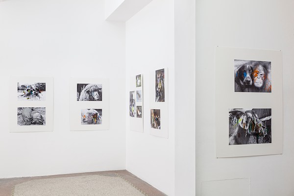 Image 14 of 26
