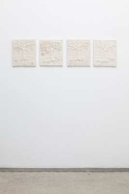 Image 7 of 16