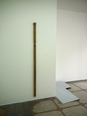 Image 8 of 19