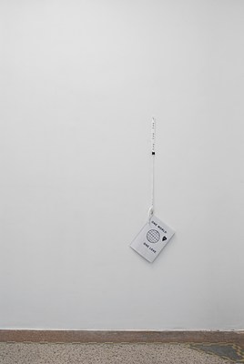 Image 7 of 15