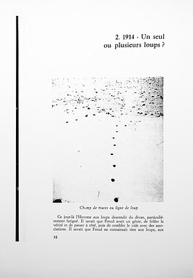 Image 4 of 7