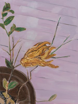 Image 16 of 21