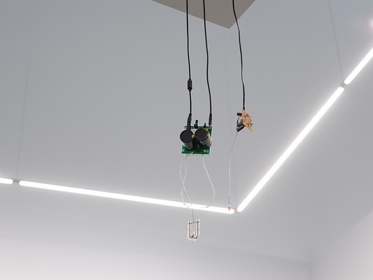 Image 19 of 27