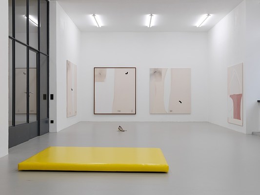Image 3 of 7