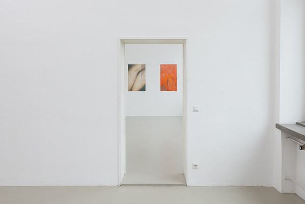 Image 6 of 27