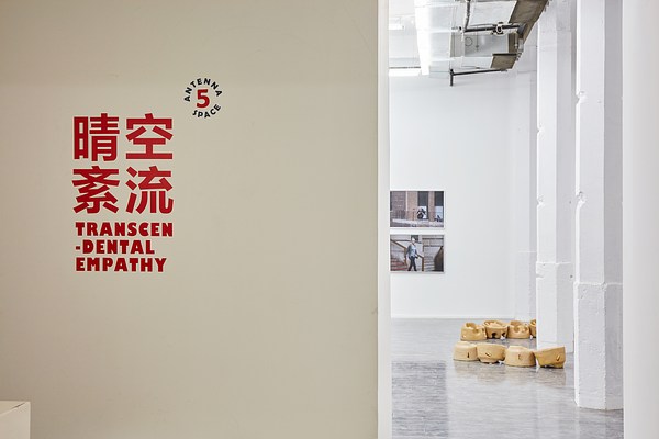 Image 1 of 48