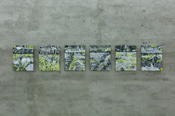 Image 21 of 22