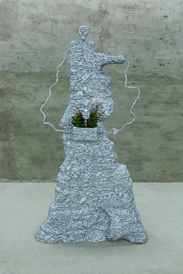 Image 14 of 22