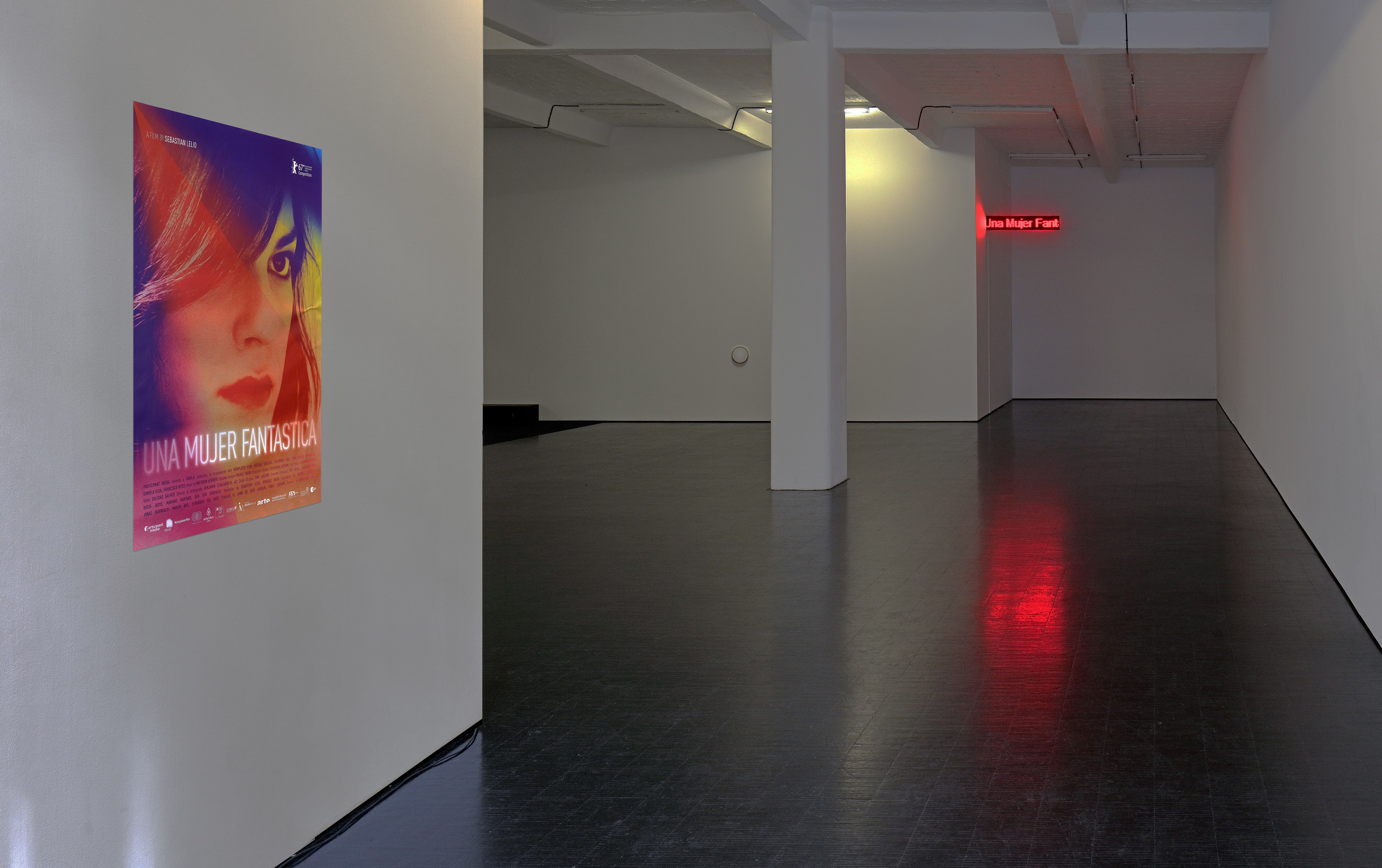 Puppies Puppies (Jade Guanaro Kuriki-Olivo), Una Mujer Fantástica (A Fantastic Woman) at Trautwein Herleth, photo 2