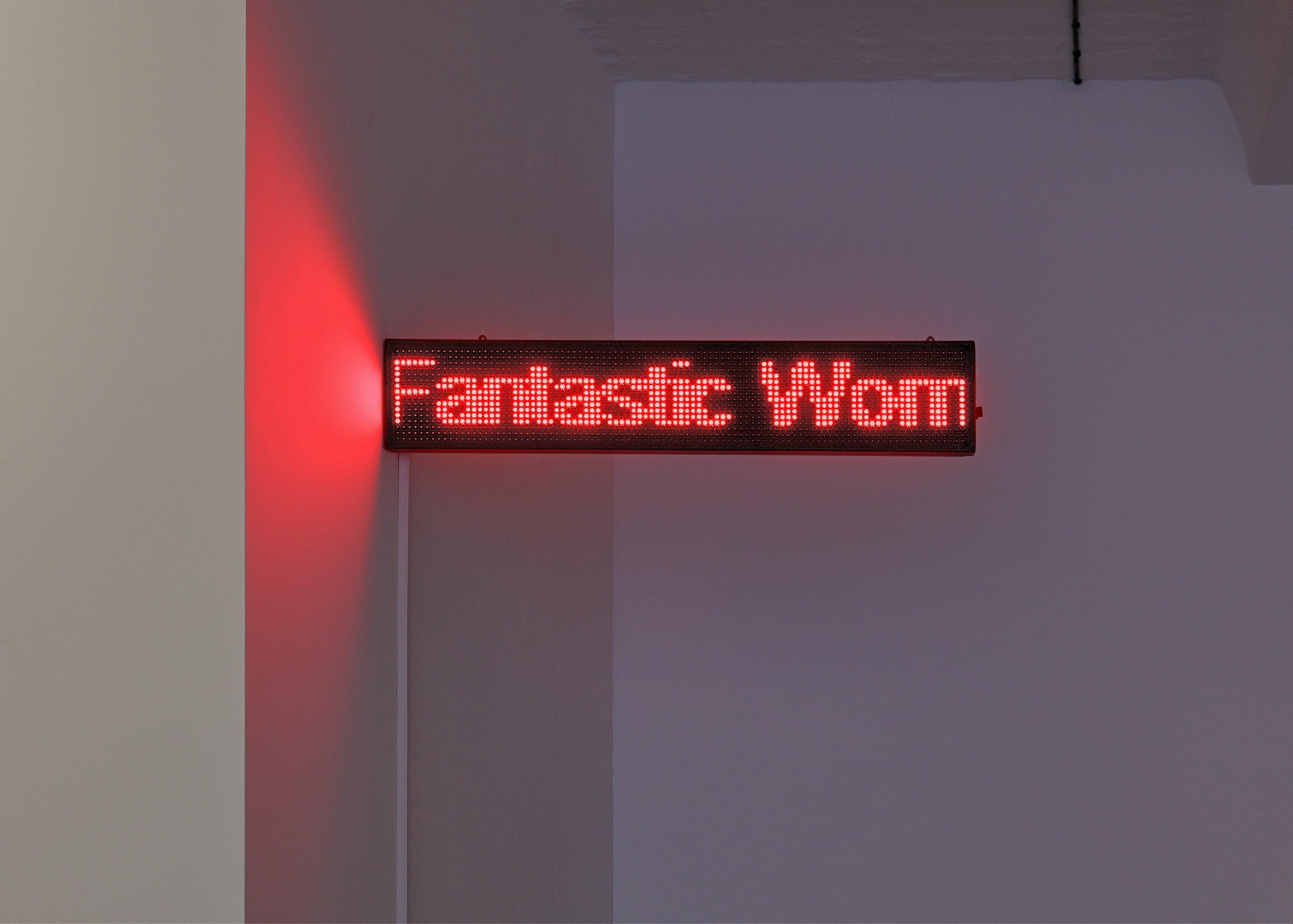 Puppies Puppies (Jade Guanaro Kuriki-Olivo), Una Mujer Fantástica (A Fantastic Woman) at Trautwein Herleth, photo 4