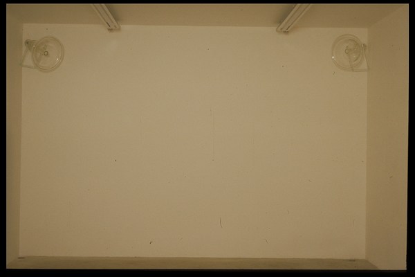 Image 2 of 3
