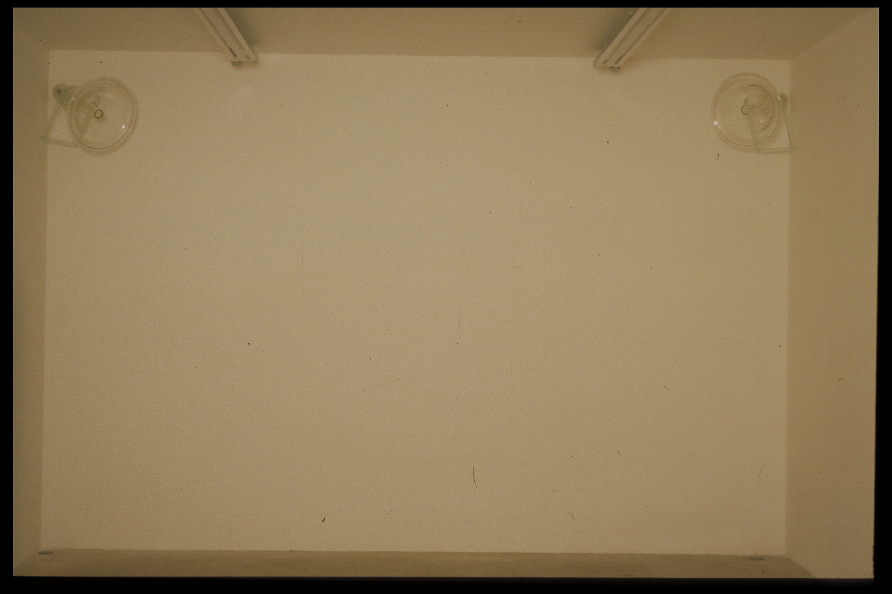 Philippe Parreno, Ou at Air de Paris, photo 2