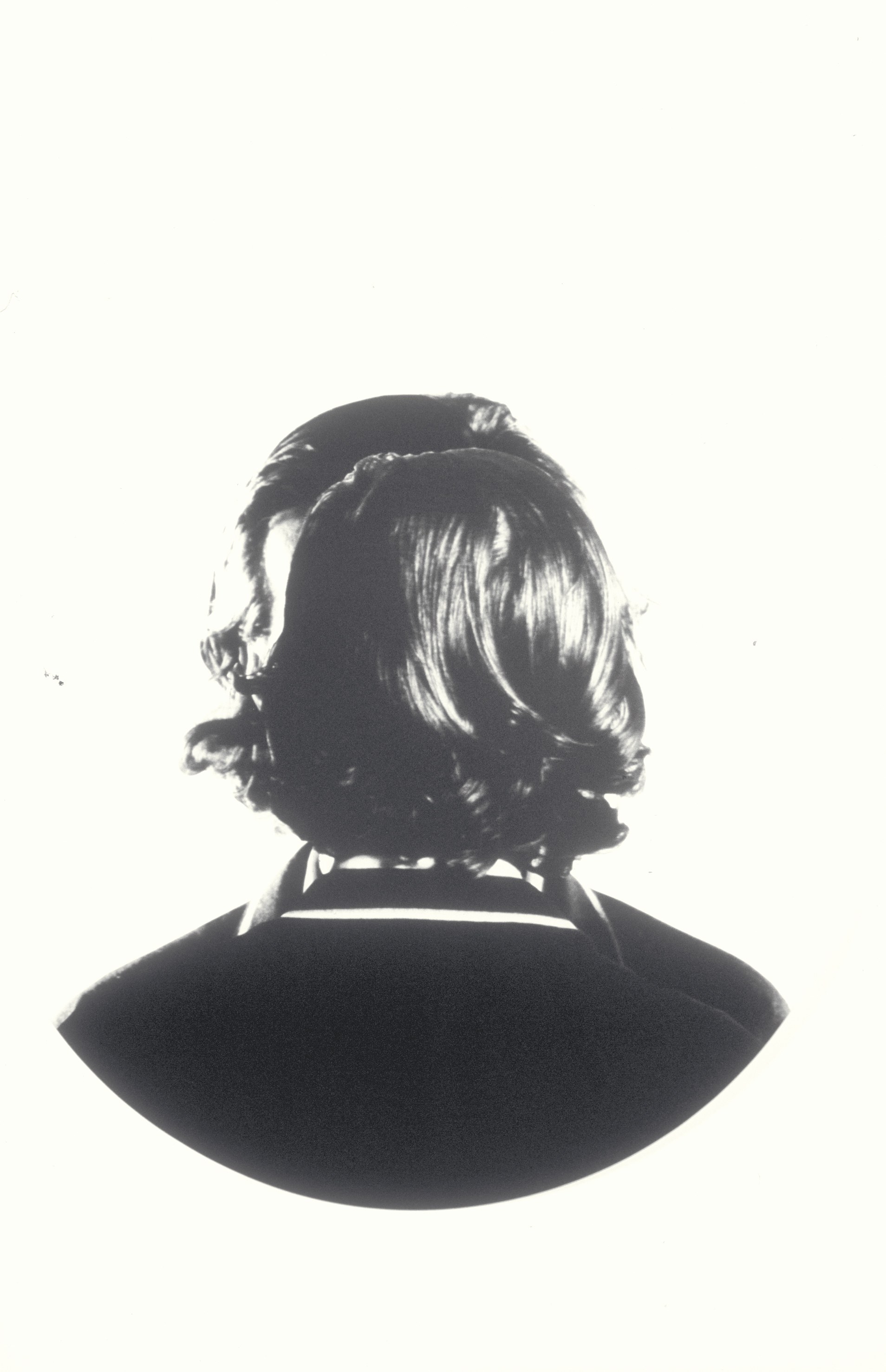 Carsten Höller, Moi-même, soi-même at Air de Paris, photo 7