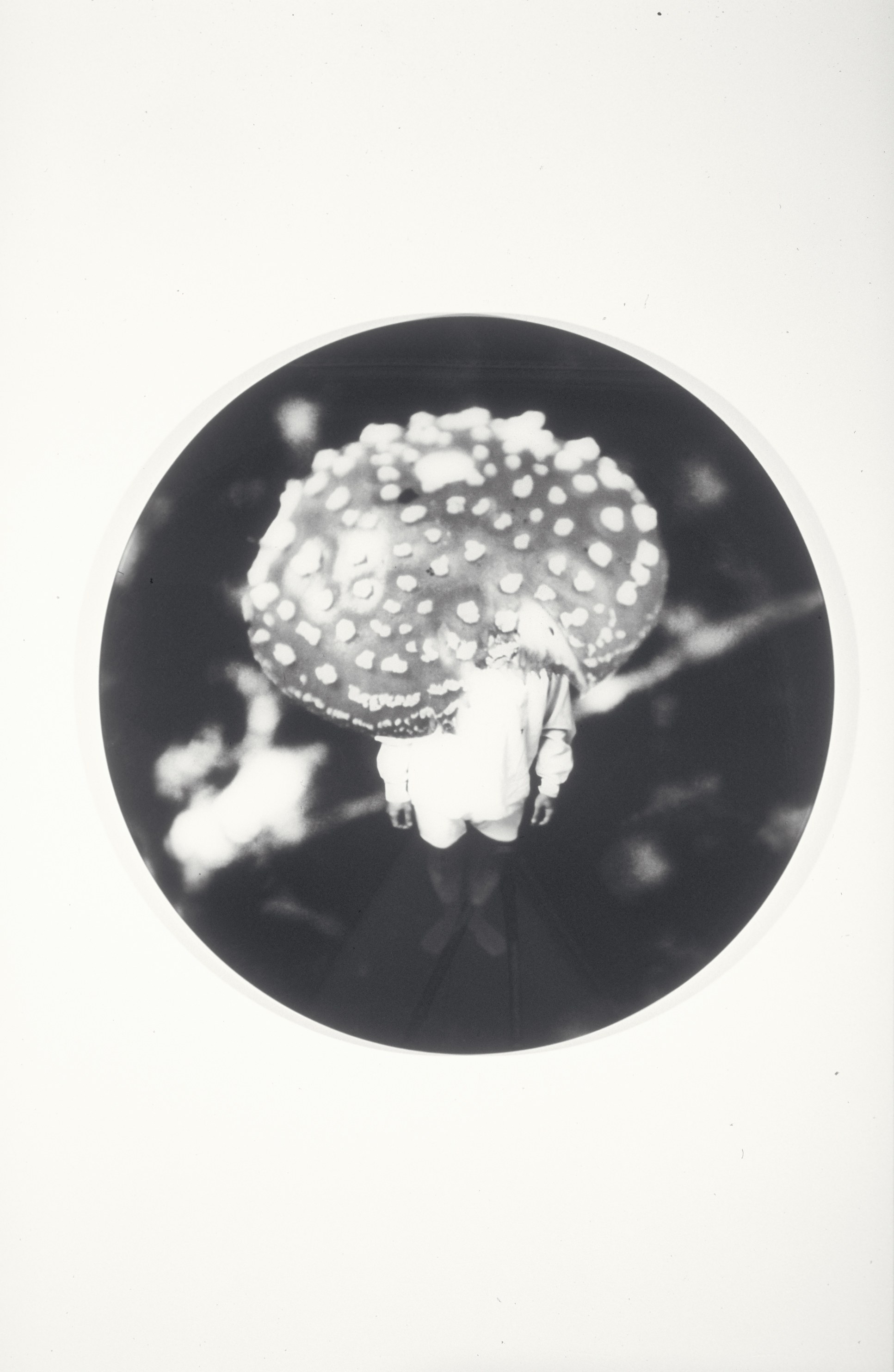 Carsten Höller, Moi-même, soi-même at Air de Paris, photo 6
