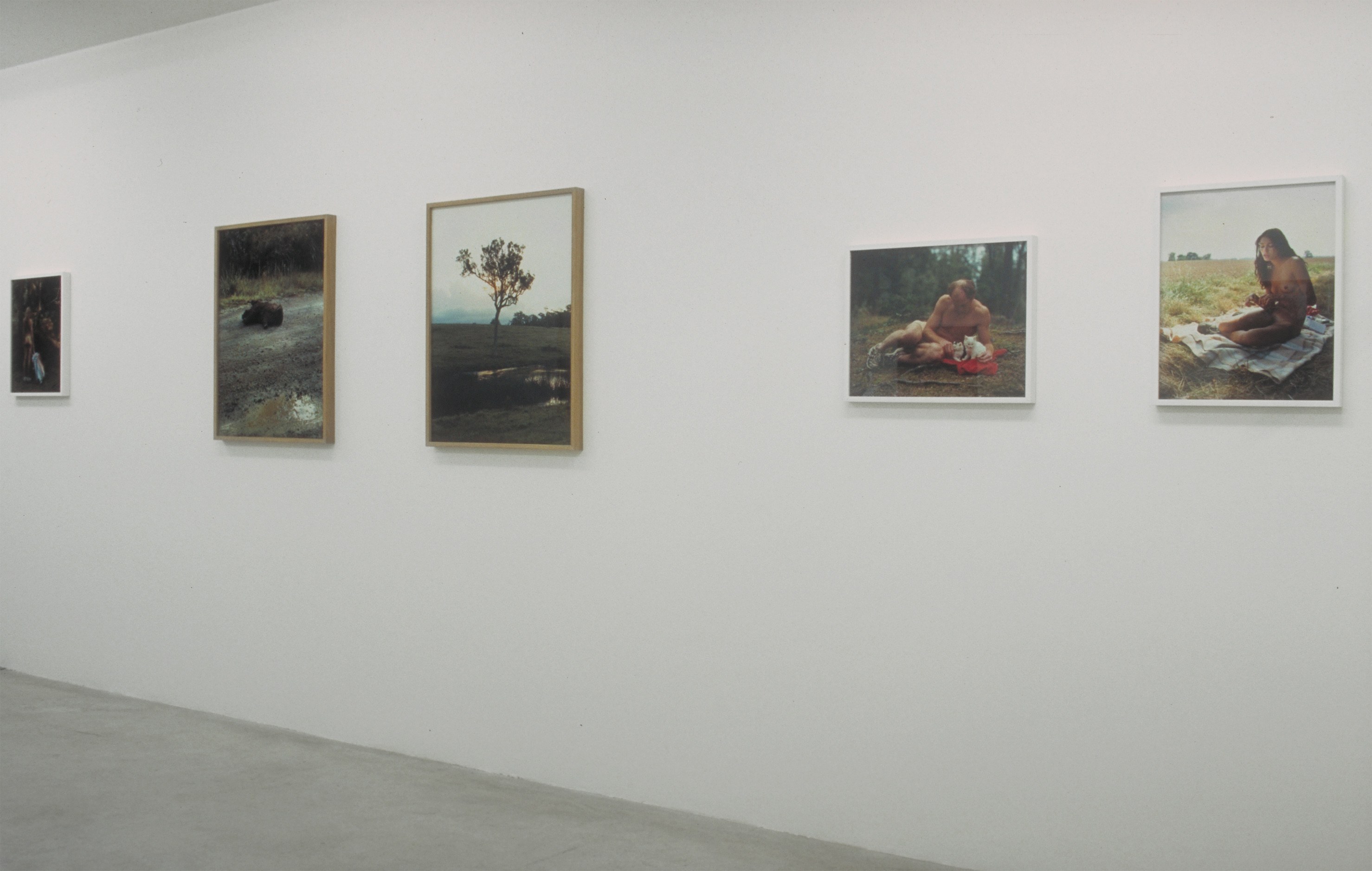 Torbjørn Rødland, Joy Inside My Tears at Air de Paris, photo 4