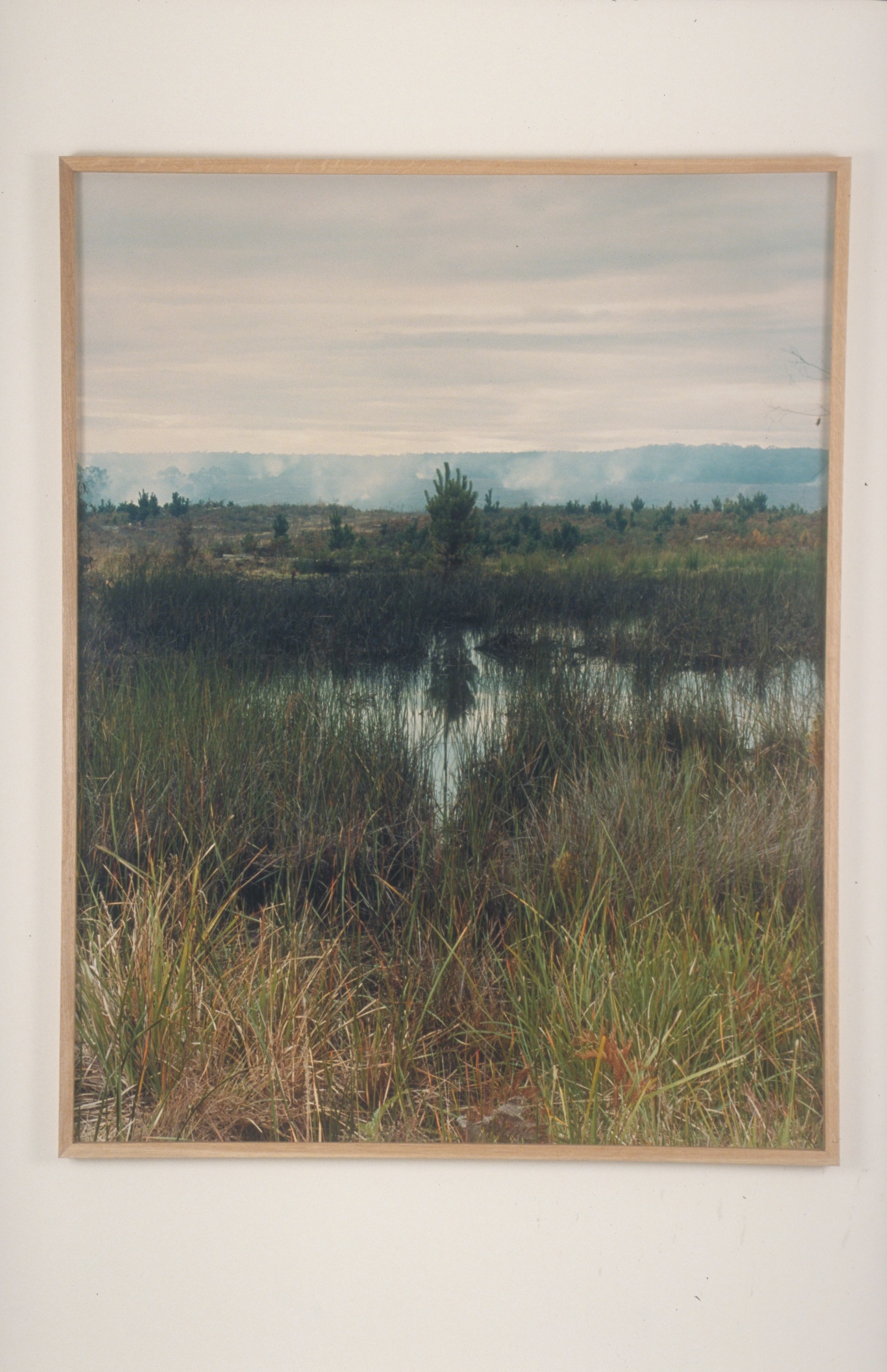 Torbjørn Rødland, Joy Inside My Tears at Air de Paris, photo 6
