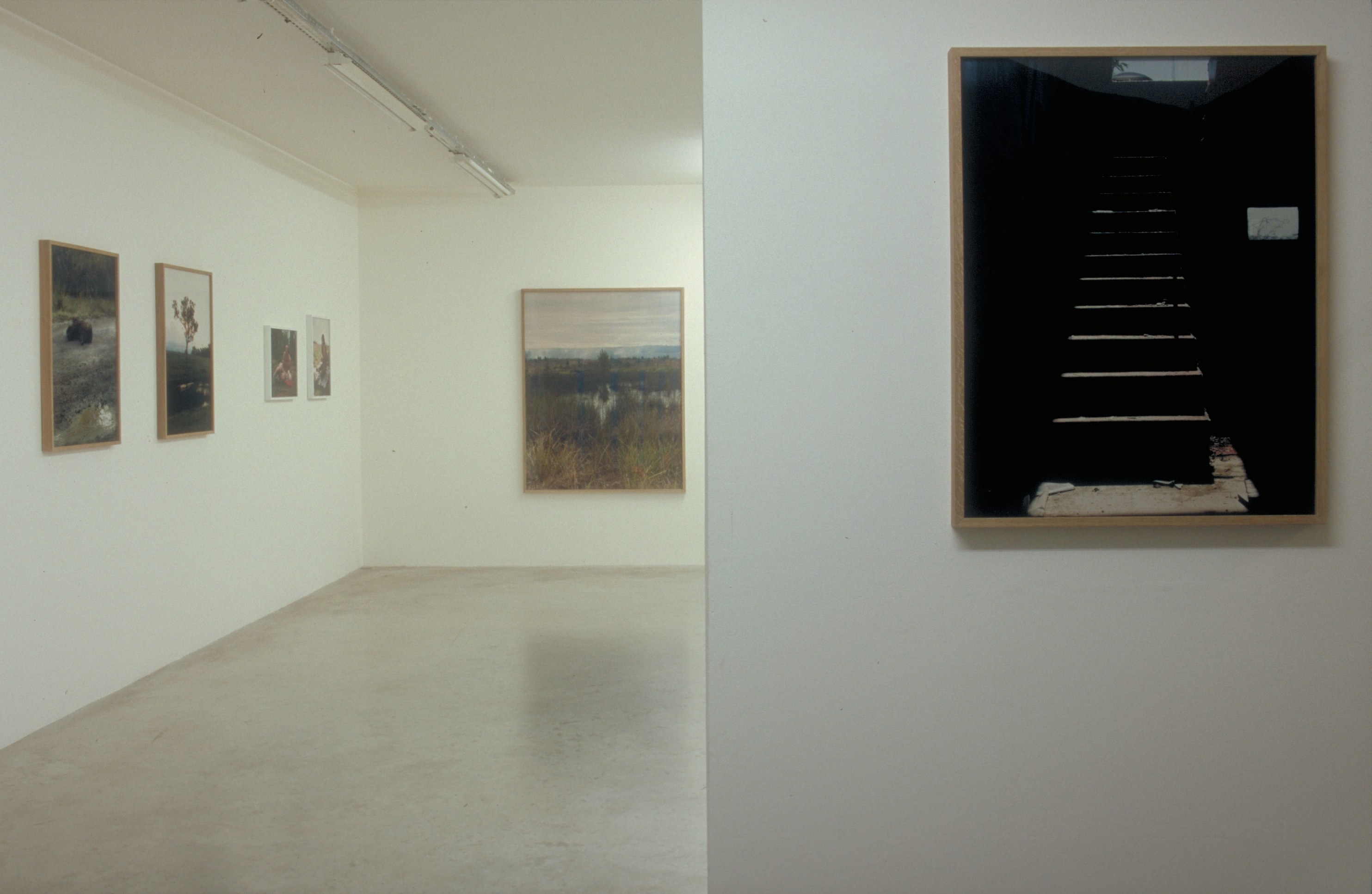 Torbjørn Rødland, Joy Inside My Tears at Air de Paris, photo 2