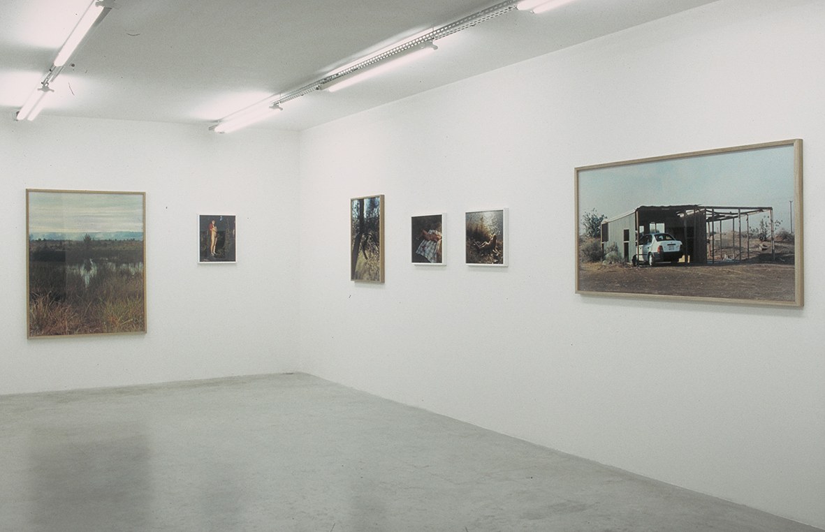 Torbjørn Rødland, Joy Inside My Tears at Air de Paris, photo 3