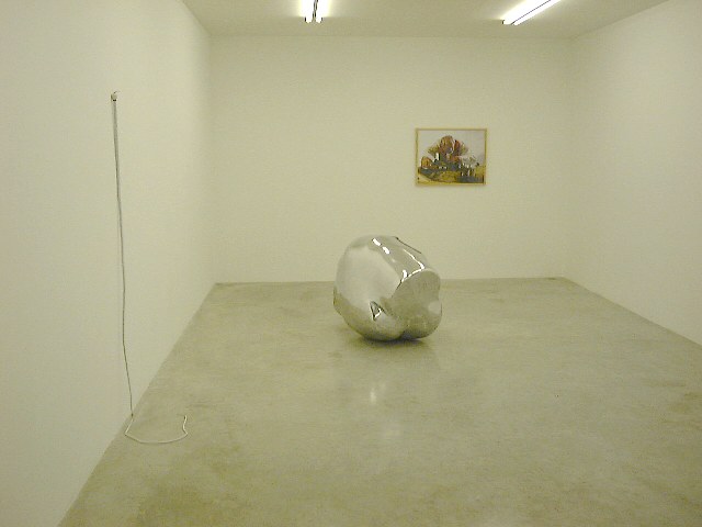 Trisha Donnelly, Torbjørn Rødland, Angel Heart at Air de Paris, photo 2