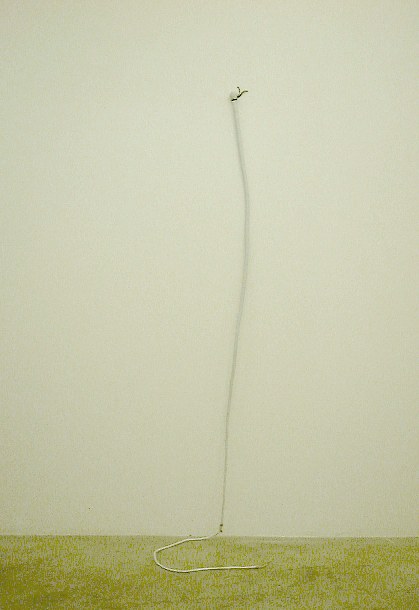 Trisha Donnelly, Torbjørn Rødland, Angel Heart at Air de Paris, photo 4