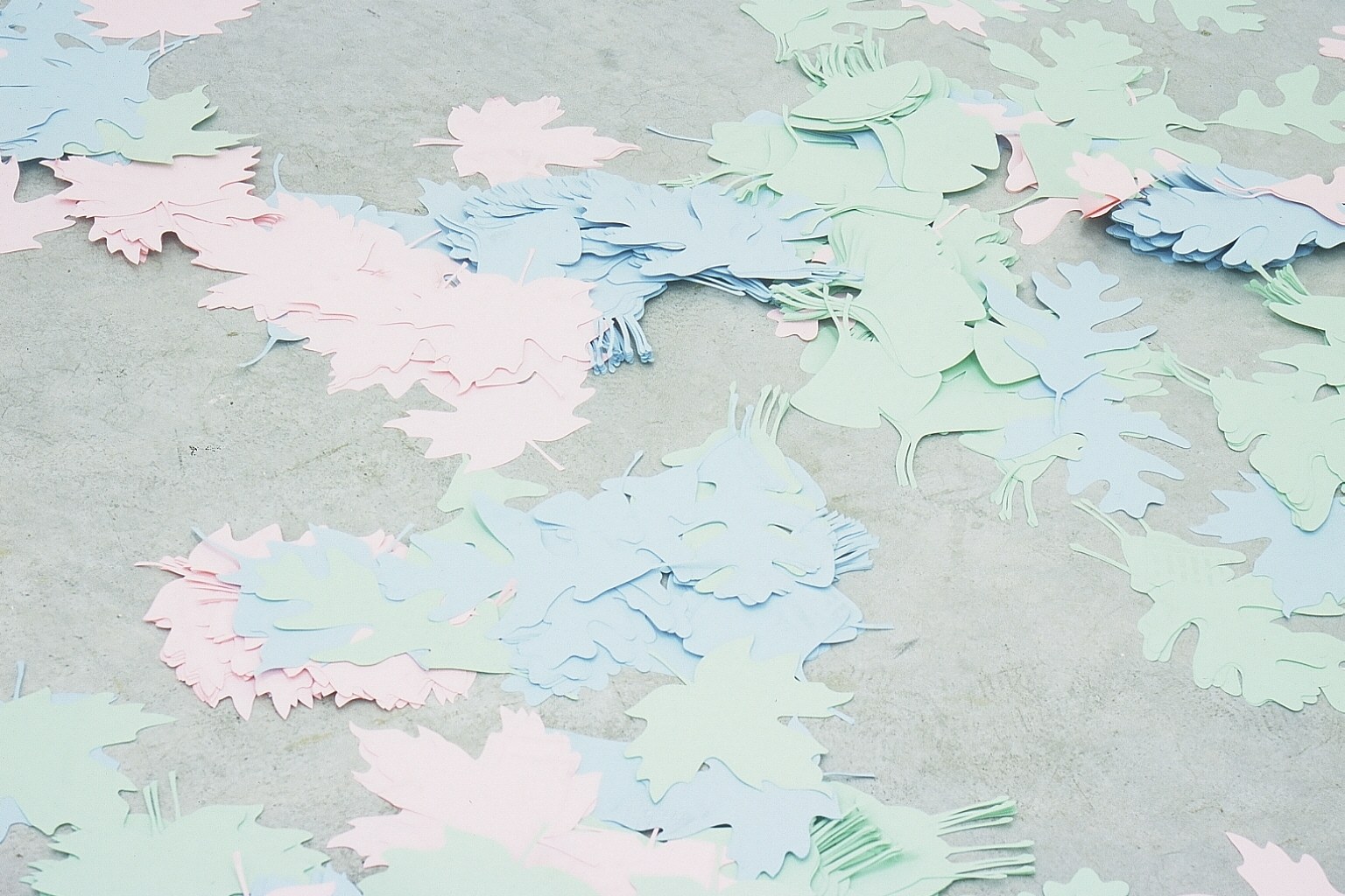 Rob Pruitt, Lily van der Stokker, Untitled at Air de Paris, photo 10