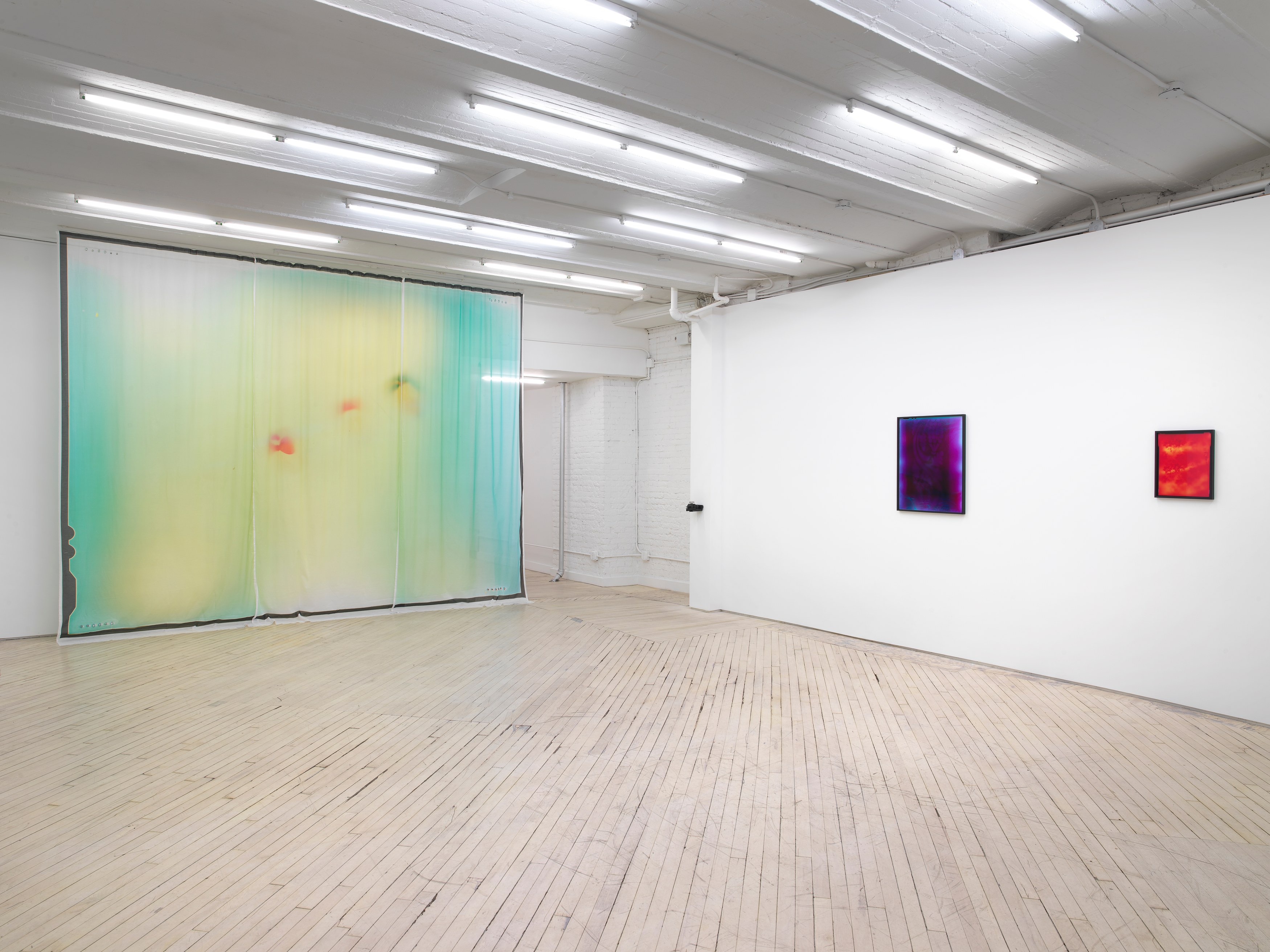 Installation view 7