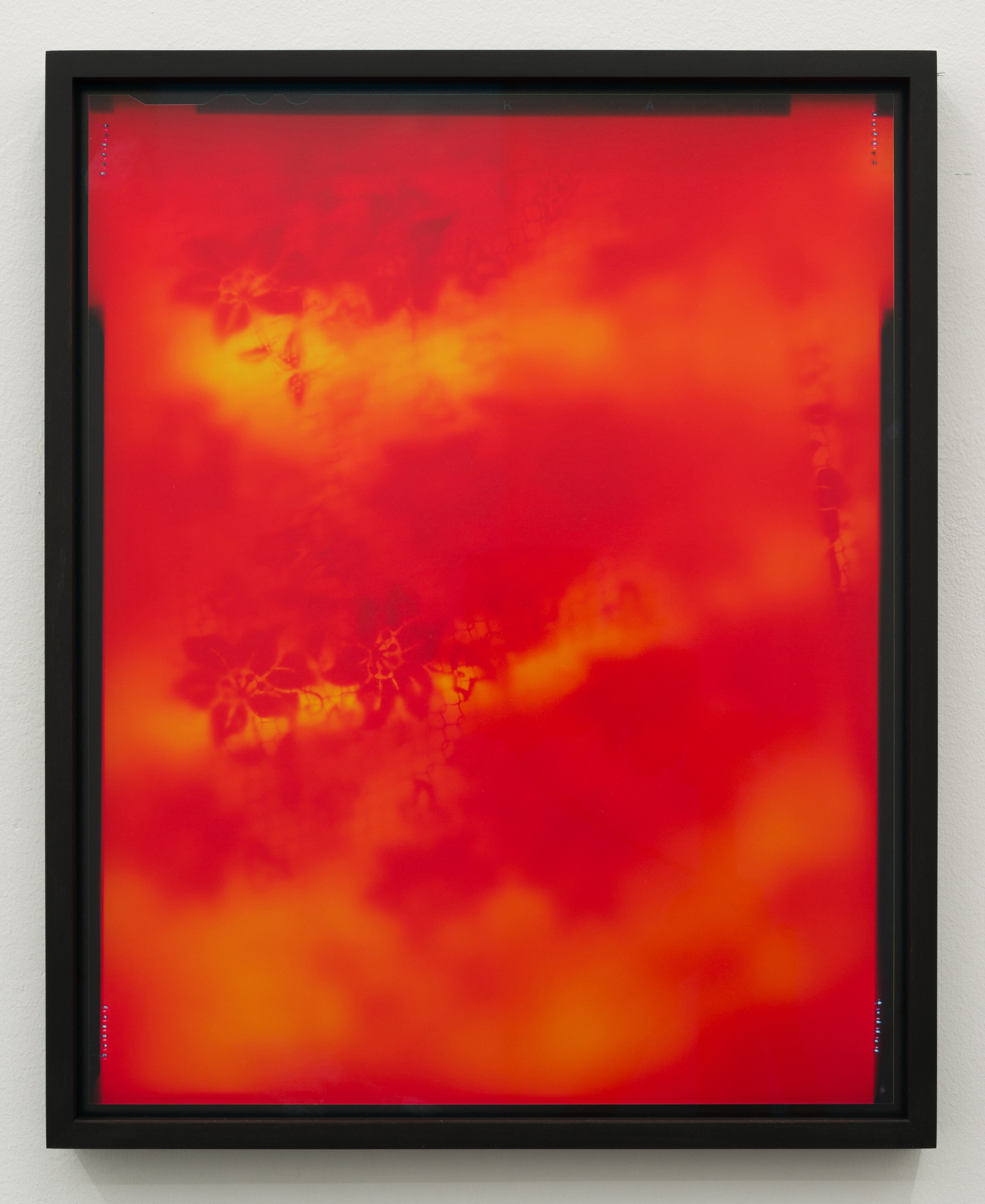 Ketuta Alexi-Meskhishvili, Grant Mooney, Kate Spencer Stewart, Soft As Velvet Eyes Can See at Bureau, photo 16