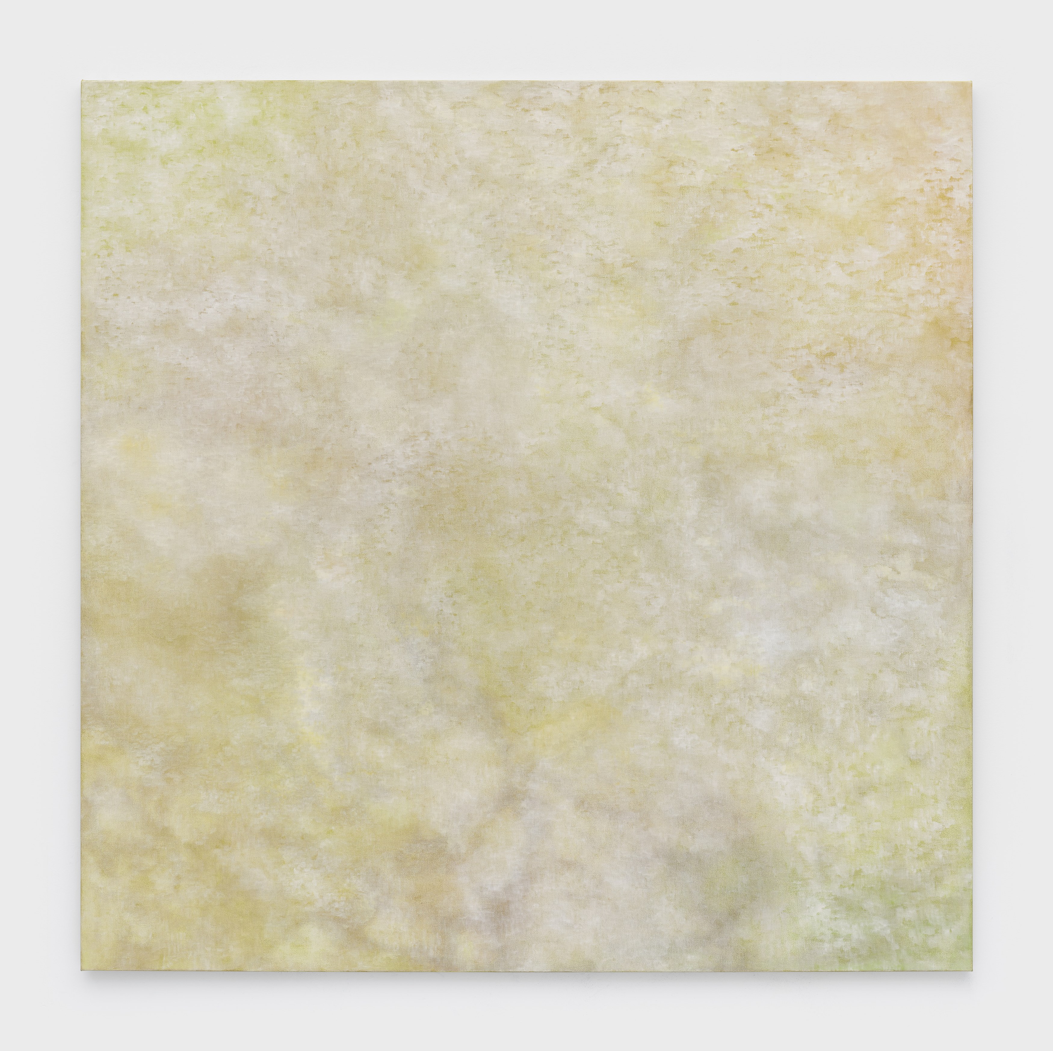 Ketuta Alexi-Meskhishvili, Grant Mooney, Kate Spencer Stewart, Soft As Velvet Eyes Can See at Bureau, photo 19