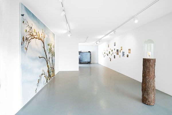 Image 1 of 41