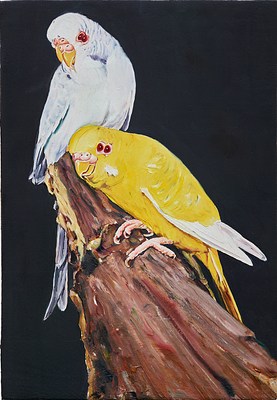 Image 18 of 41