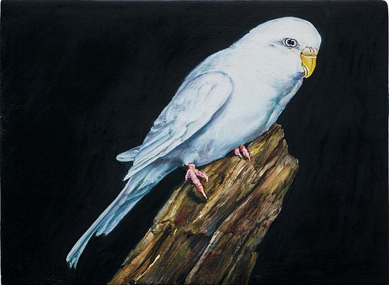 Image 19 of 41