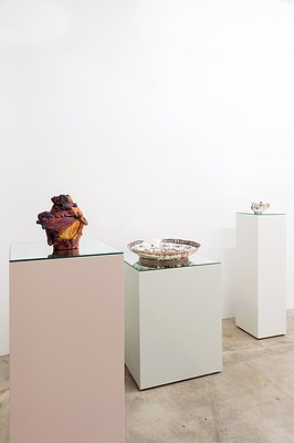 Image 4 of 16