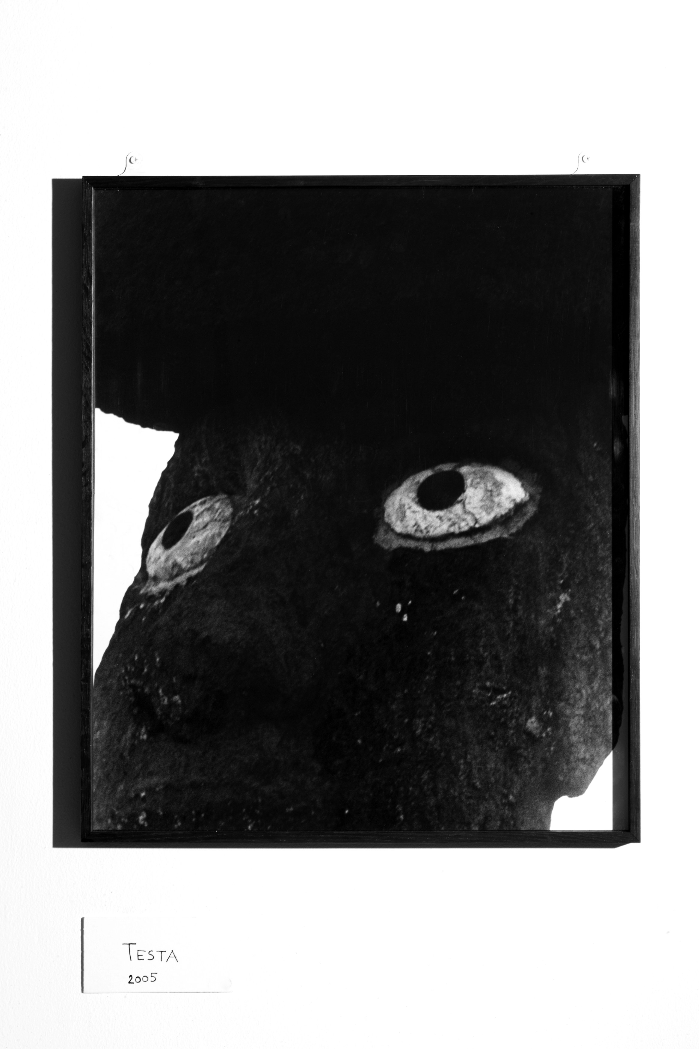 Martin d'Orgeval, Pâques at La Cuisine, photo 2