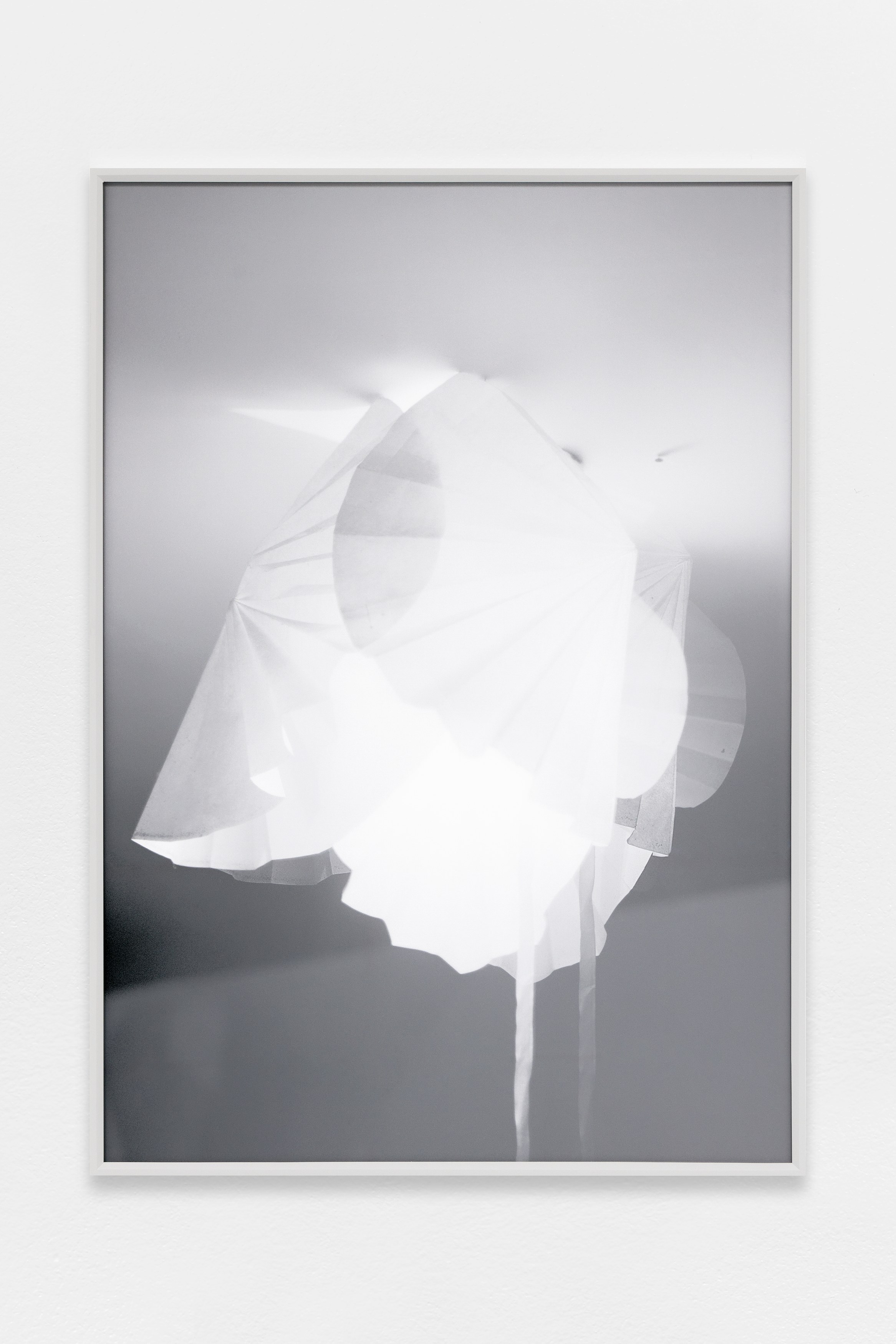 Martin d'Orgeval, SUR FACE at La Cuisine, photo 4