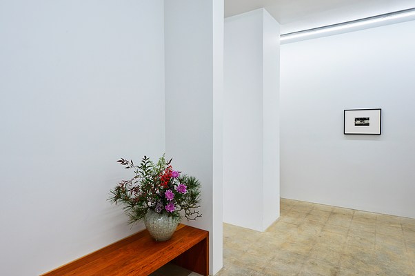 Image 11 of 52