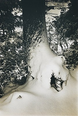 Image 25 of 52