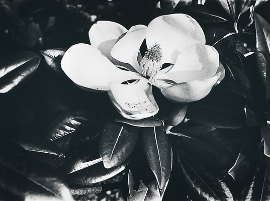 Image 28 of 52