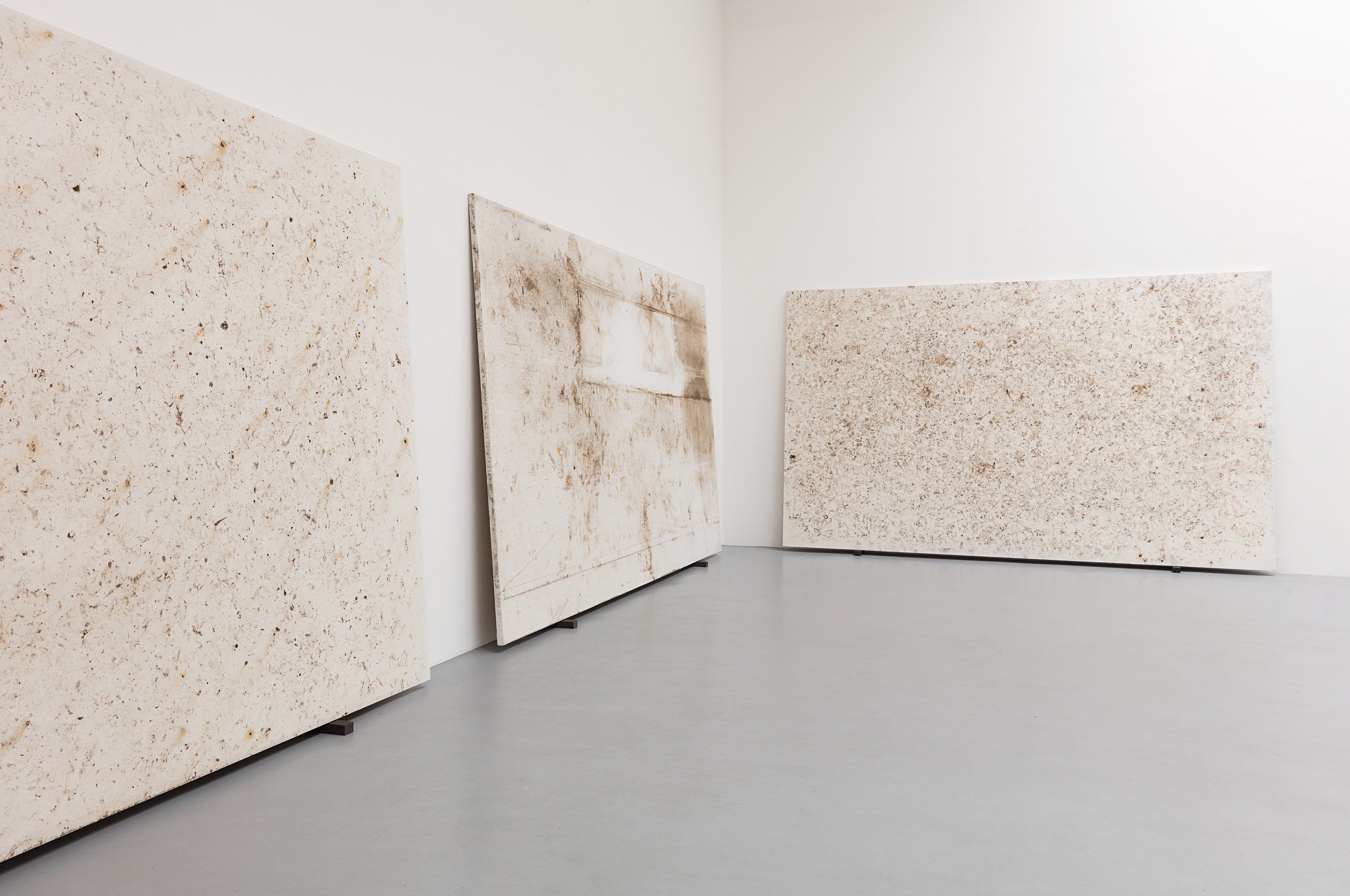 Karin Sander, Untitled at La Cuisine, photo 5