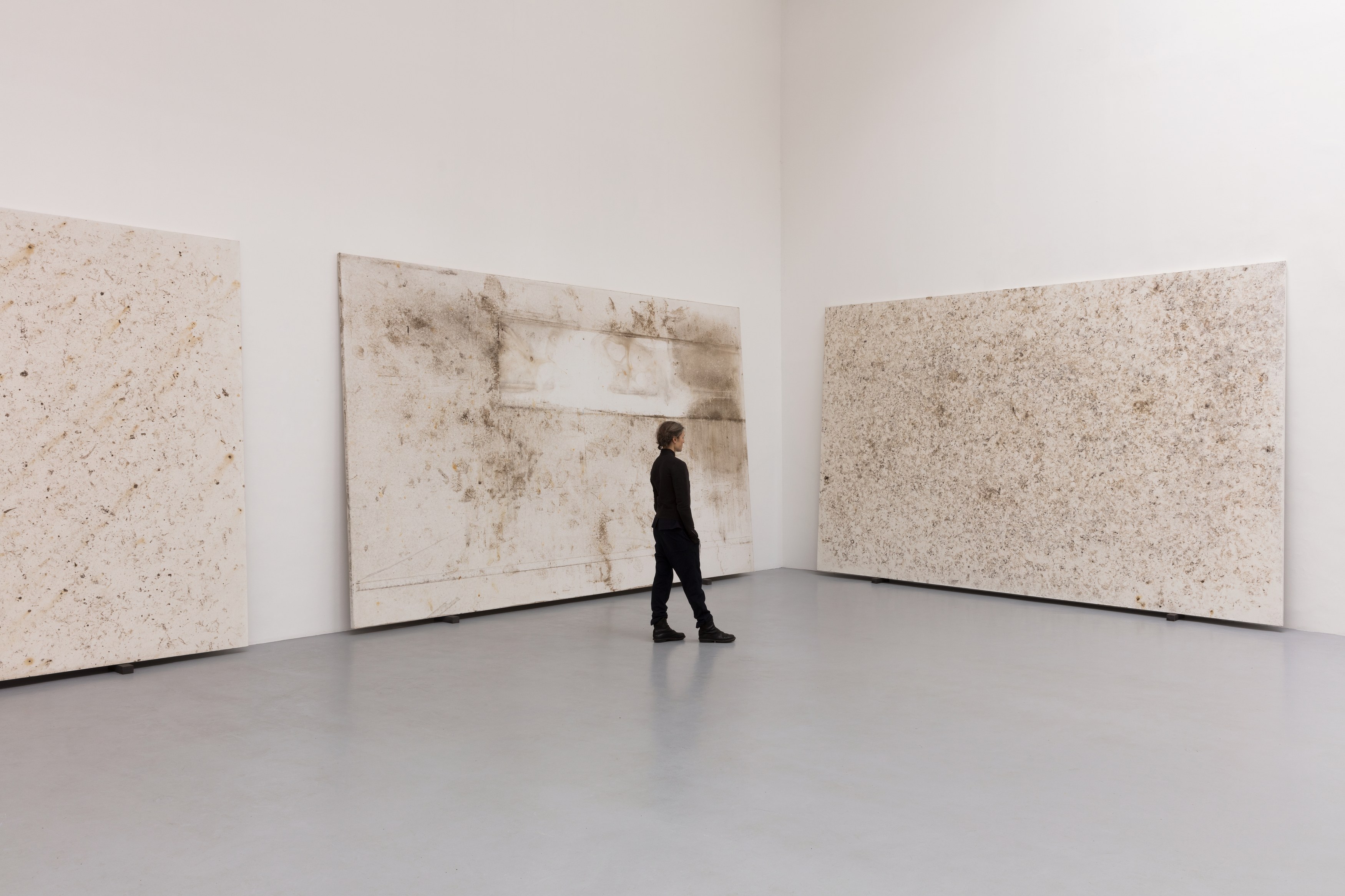 Karin Sander, Untitled at La Cuisine, photo 10