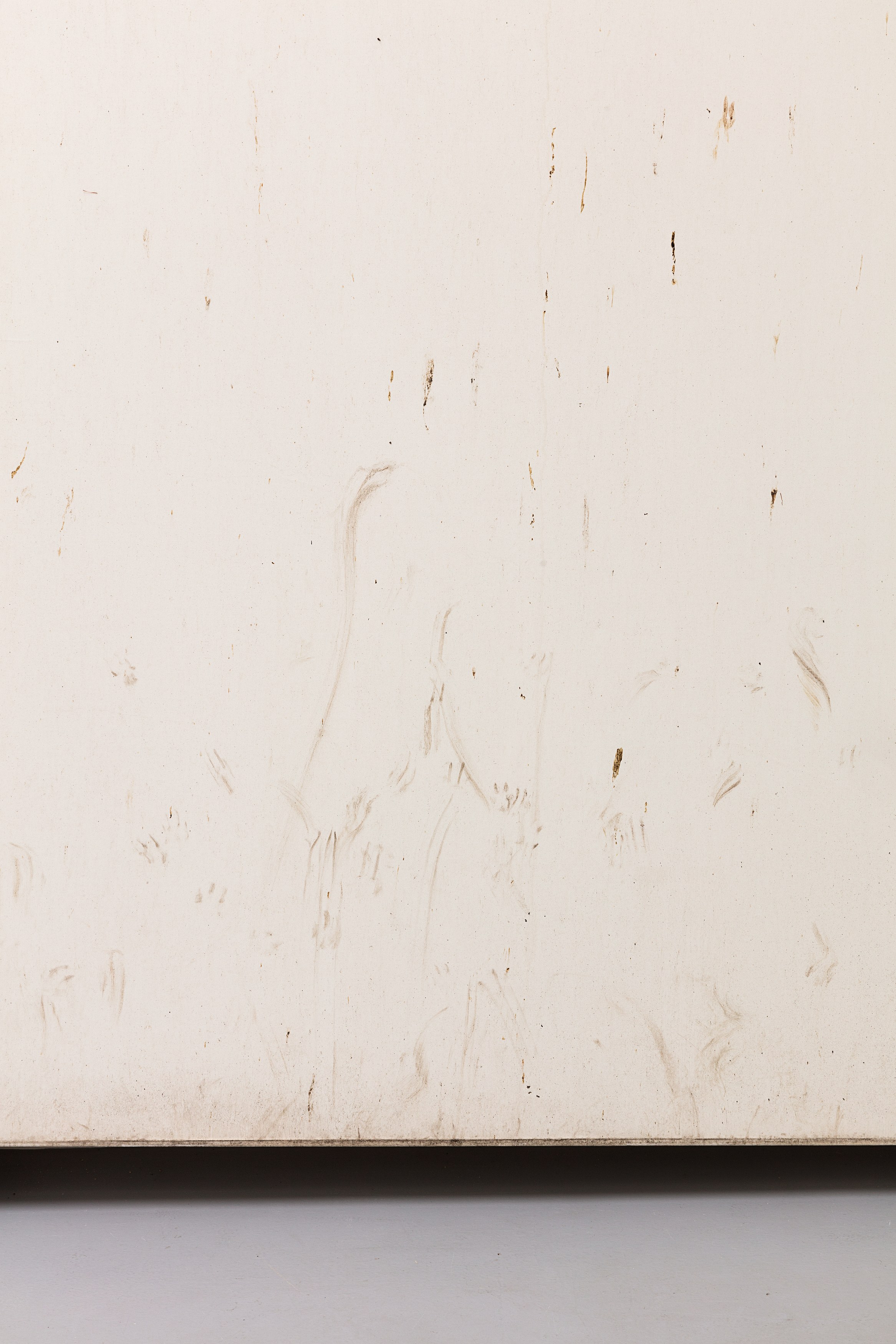 Karin Sander, Untitled at La Cuisine, photo 16