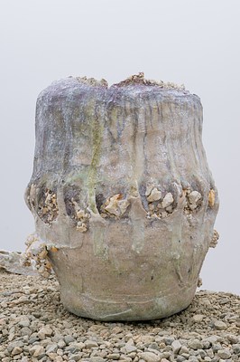 Image 10 of 165