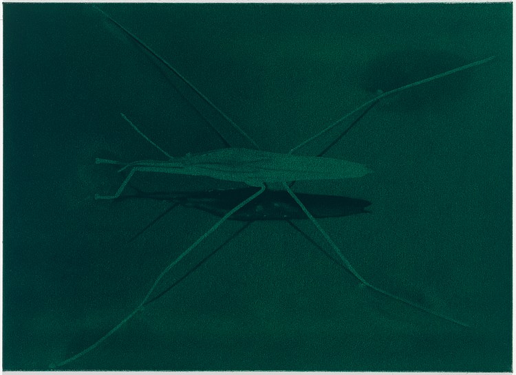 アート・デザイン・音楽 Eberhard Havekost: Titel Eberhard Havekost | Contemporary Art Library