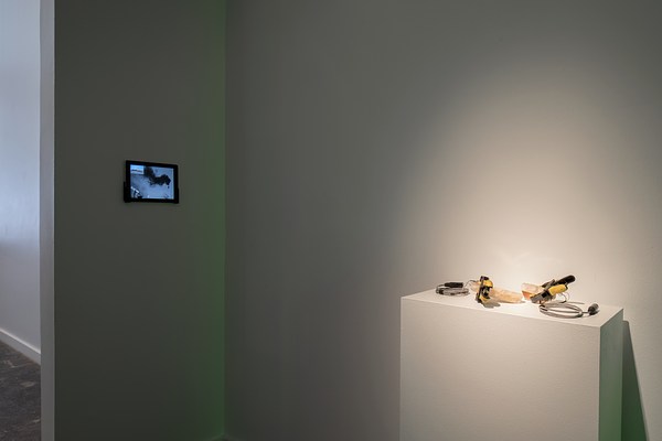 Image 38 of 65