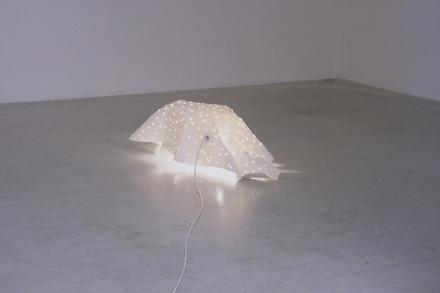 Jorge Pardo, Philippe Parreno, Untitled at Air de Paris, photo 4