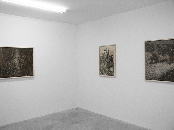 Sebastiaan Bremer, Monkey at Air de Paris, photo 2