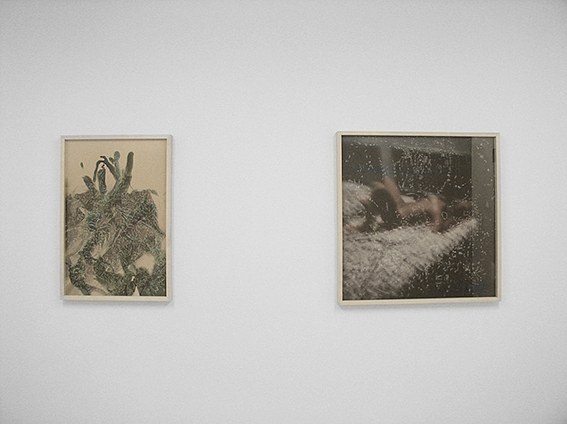 Sebastiaan Bremer, Monkey at Air de Paris, photo 3