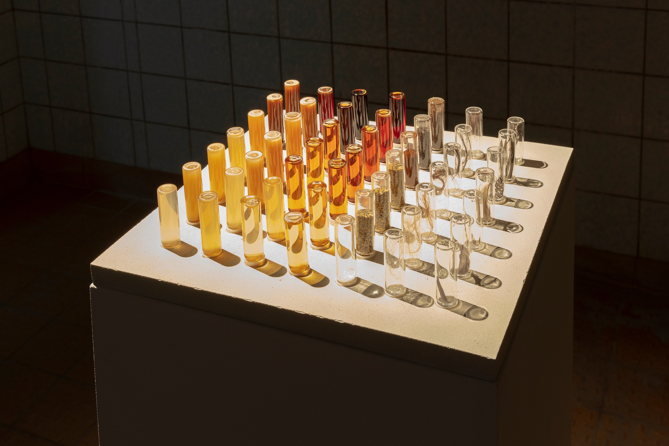Sun Rise | Sun Set, Sun Rise | Sun Set at Schinkel Pavillon, photo 6