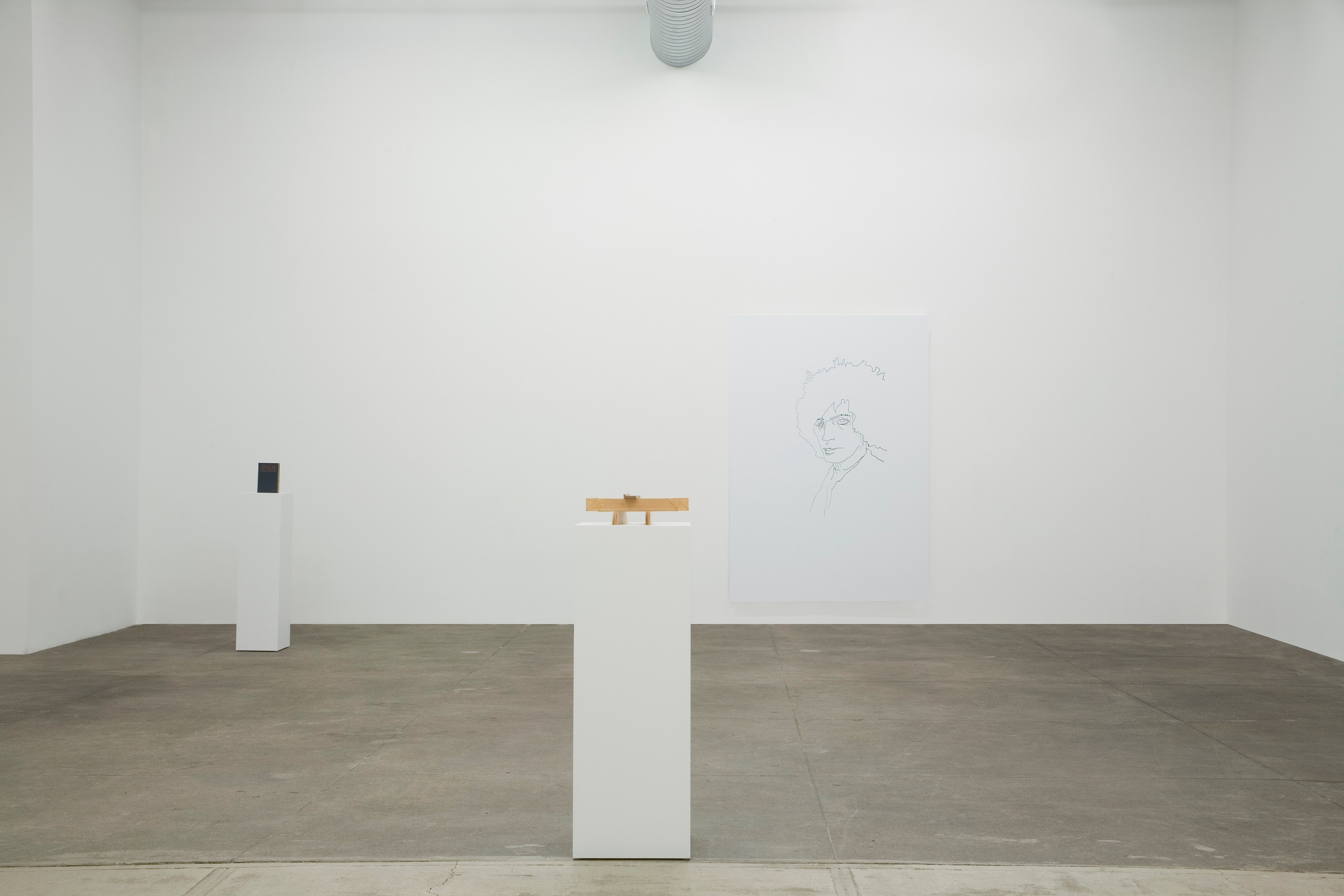 Richard Aldrich, Once I Was... at Bortolami, photo 9